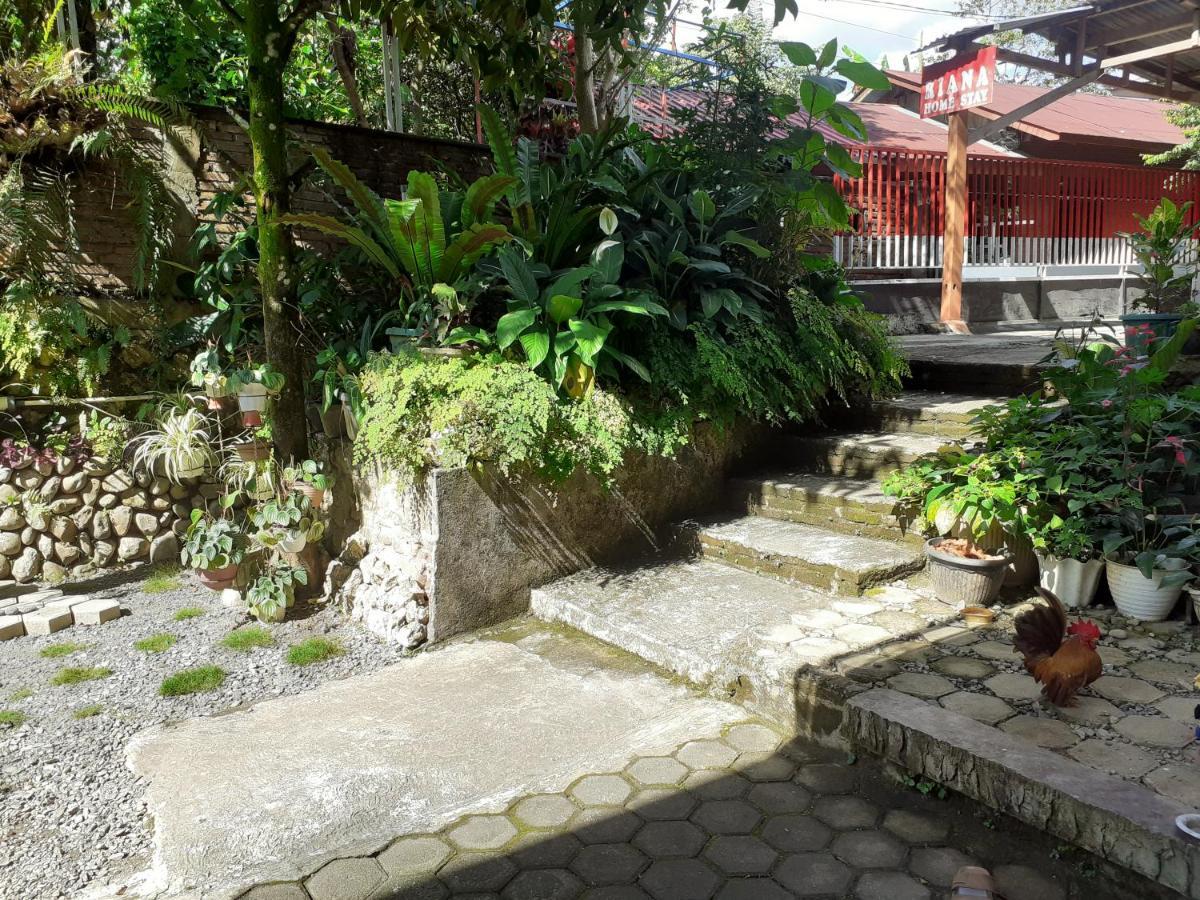 Riana'S Homestay Rantepao Exterior foto